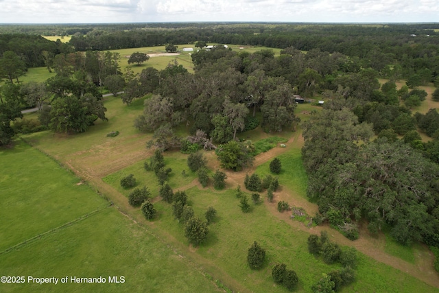 2740 Saturn Rd, Brooksville, FL 34604 - photo 58