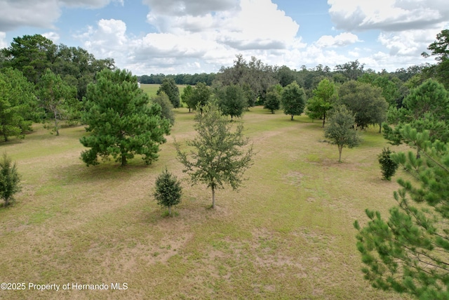 2740 Saturn Rd, Brooksville, FL 34604 - photo 60