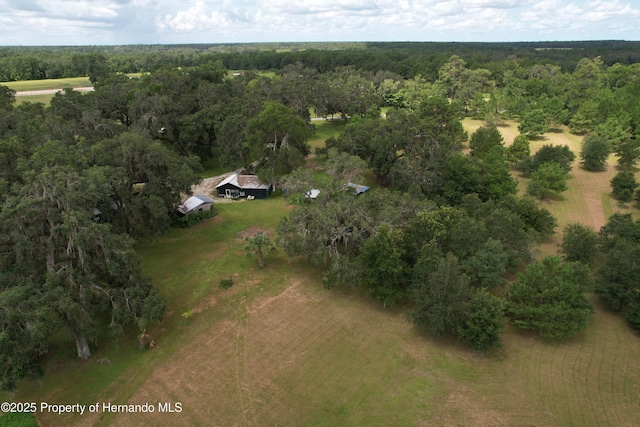 2740 Saturn Rd, Brooksville, FL 34604 - photo 61