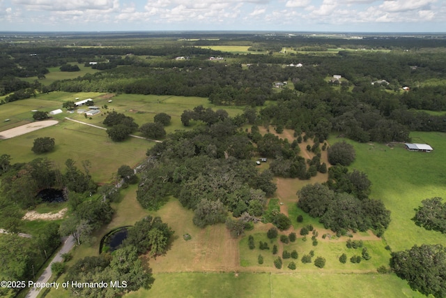 2740 Saturn Rd, Brooksville, FL 34604 - photo 62