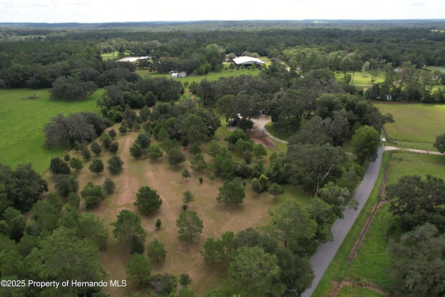 2740 Saturn Rd, Brooksville, FL 34604 - photo 63