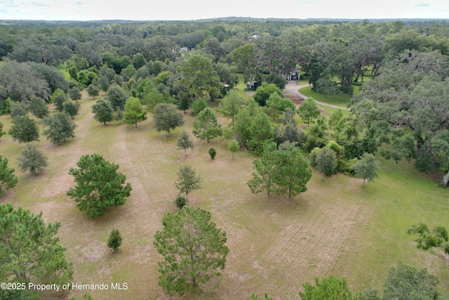 2740 Saturn Rd, Brooksville, FL 34604 - photo 64