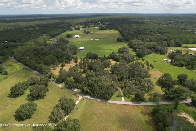 2740 Saturn Rd, Brooksville, FL 34604 - photo 66