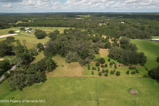 2740 Saturn Rd, Brooksville, FL 34604 - photo 68