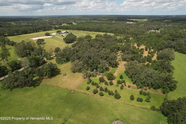 2740 Saturn Rd, Brooksville, FL 34604 - photo 69