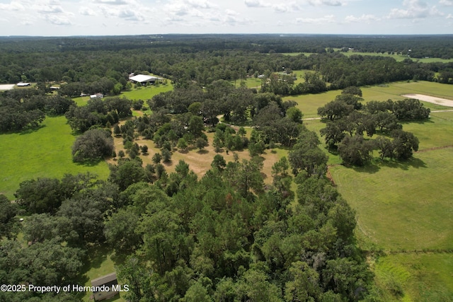 2740 Saturn Rd, Brooksville, FL 34604 - photo 70