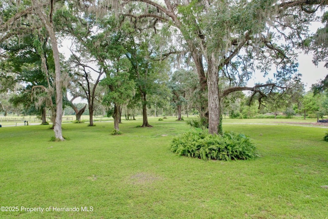 2740 Saturn Rd, Brooksville, FL 34604 - photo 4