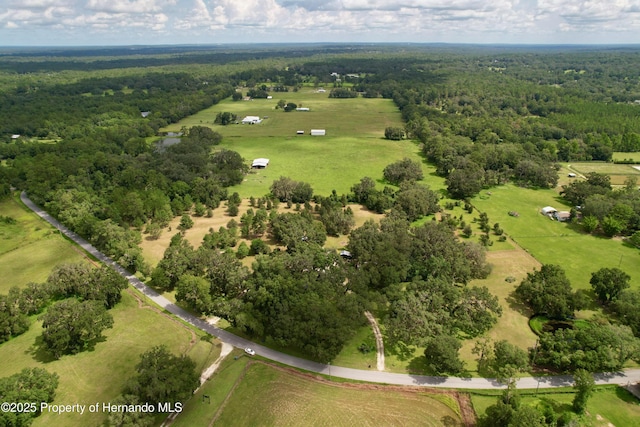 2740 Saturn Rd, Brooksville, FL 34604 - photo 81
