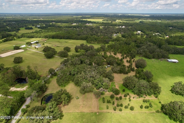 2740 Saturn Rd, Brooksville, FL 34604 - photo 82
