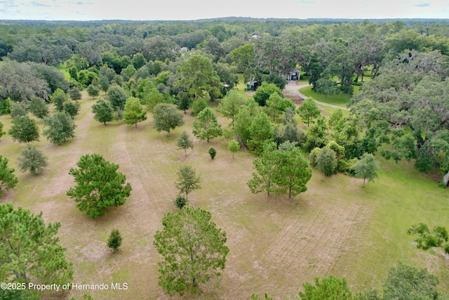 2740 Saturn Rd, Brooksville, FL 34604 - photo 83