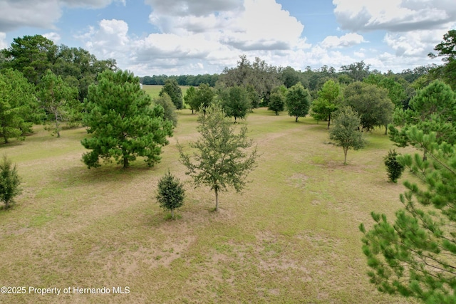 2740 Saturn Rd, Brooksville, FL 34604 - photo 85