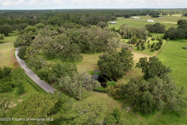 2740 Saturn Rd, Brooksville, FL 34604 - photo 86