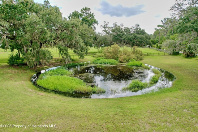2740 Saturn Rd, Brooksville, FL 34604 - photo 5