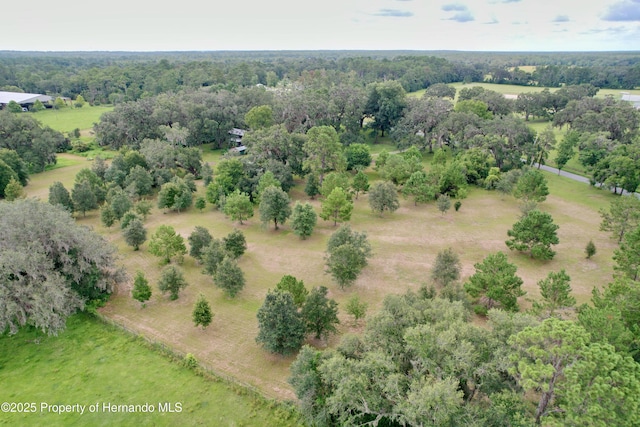 2740 Saturn Rd, Brooksville, FL 34604 - photo 87