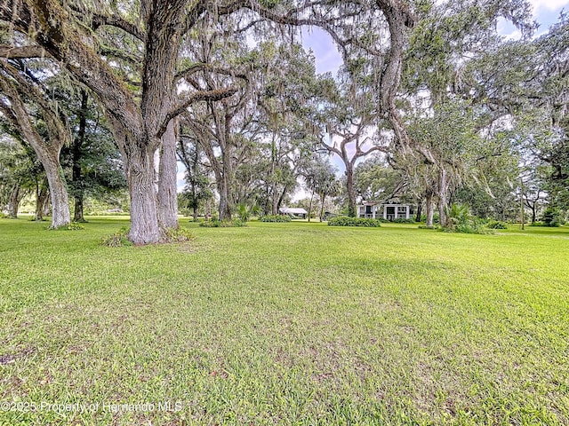 2740 Saturn Rd, Brooksville, FL 34604 - photo 7