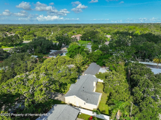 2224 Barbara Dr, Clearwater, FL 33764 - photo 10