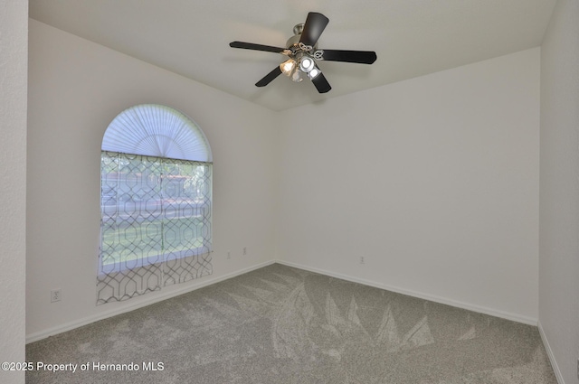 2224 Barbara Dr, Clearwater, FL 33764 - photo 33