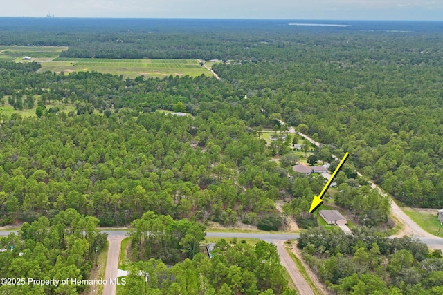 9542 N Paradisea Dr, Citrus Springs, FL 34433
