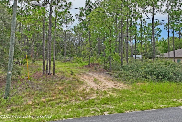9542 N Paradisea Dr, Citrus Springs, FL 34433