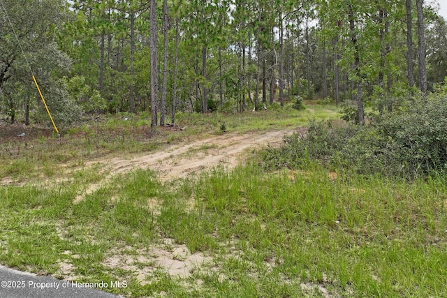 9542 N Paradisea Dr, Citrus Springs, FL 34433