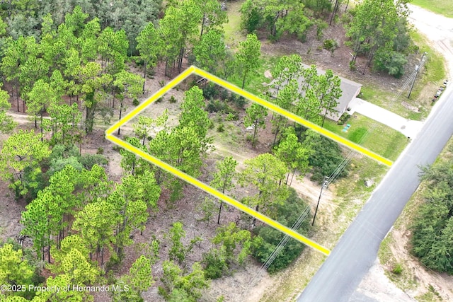 9542 N Paradisea Dr, Citrus Springs, FL 34433