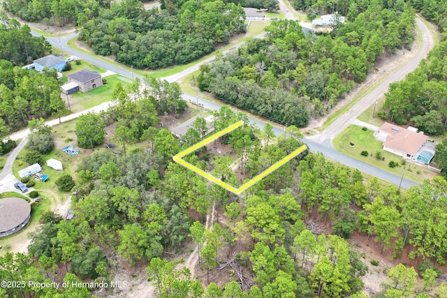 9542 N Paradisea Dr, Citrus Springs, FL 34433