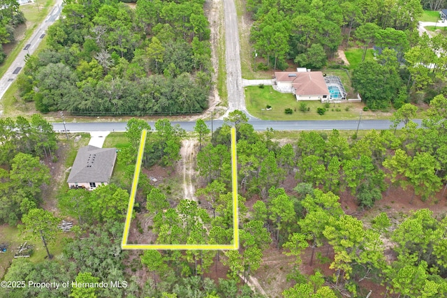 9542 N Paradisea Dr, Citrus Springs, FL 34433