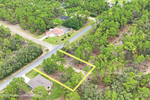 9542 N Paradisea Dr, Citrus Springs, FL 34433