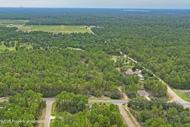 9542 N Paradisea Dr, Citrus Springs, FL 34433