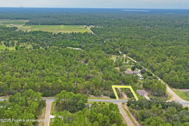 9542 N Paradisea Dr, Citrus Springs, FL 34433