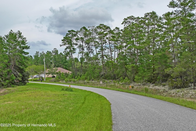 8541 N Newmark Way, Dunnellon, FL 34433