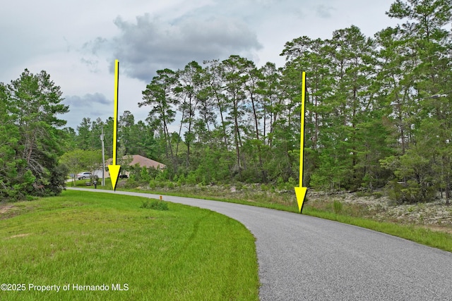 8541 N Newmark Way, Dunnellon, FL 34433
