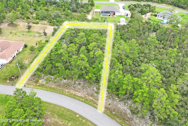 8541 N Newmark Way, Dunnellon, FL 34433