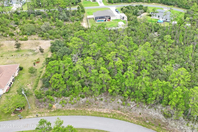 8541 N Newmark Way, Dunnellon, FL 34433