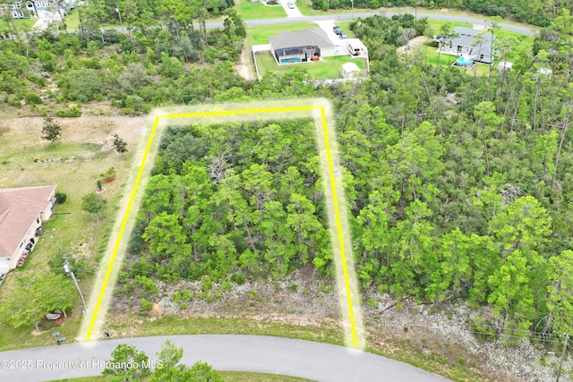 8541 N Newmark Way, Dunnellon, FL 34433