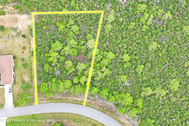 8541 N Newmark Way, Dunnellon, FL 34433