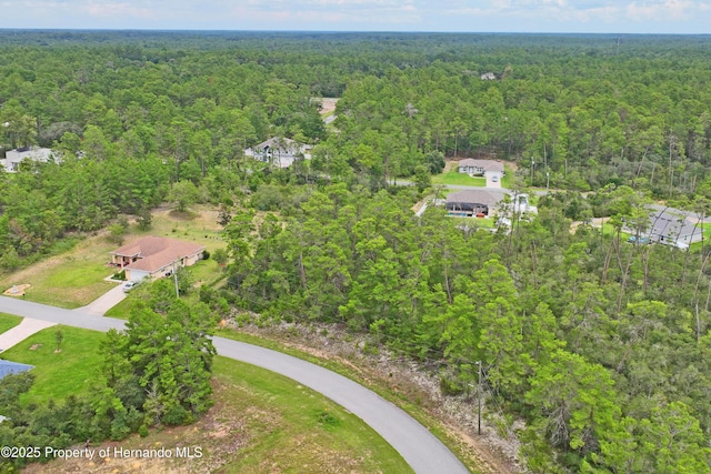 8541 N Newmark Way, Dunnellon, FL 34433