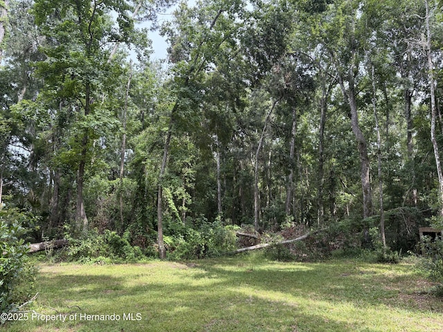 7107 Cedar Ln, Brooksville, FL 34601 - photo 6