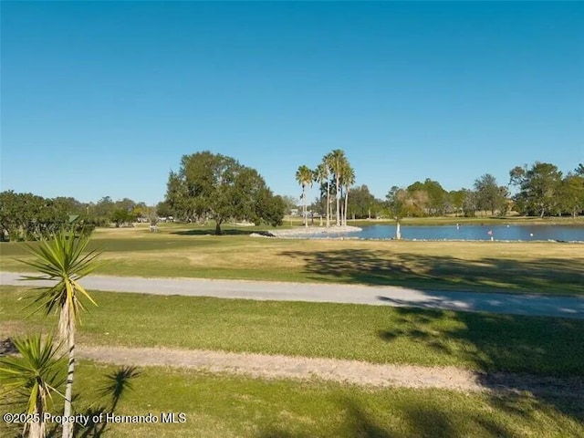 29129 Johnston Rd, Dade City, FL 33523 - photo 10