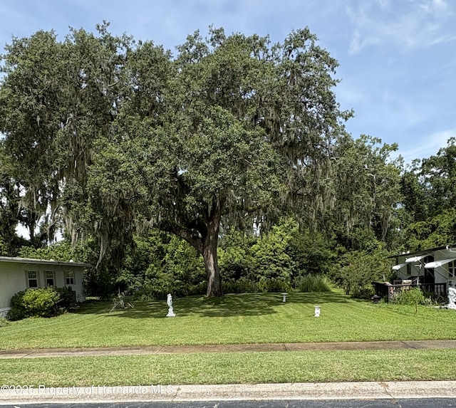 29129 Johnston Rd, Dade City, FL 33523 - photo 2