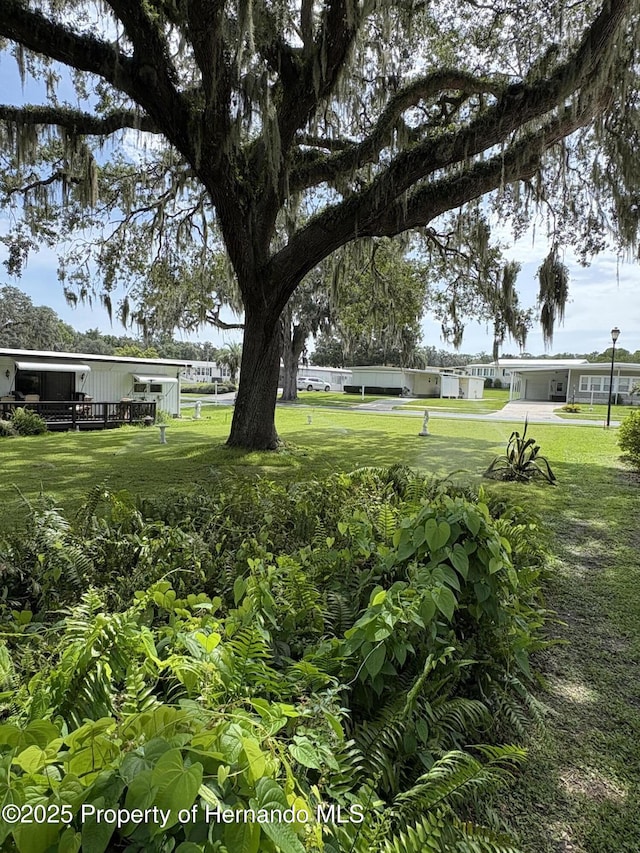 29129 Johnston Rd, Dade City, FL 33523 - photo 4