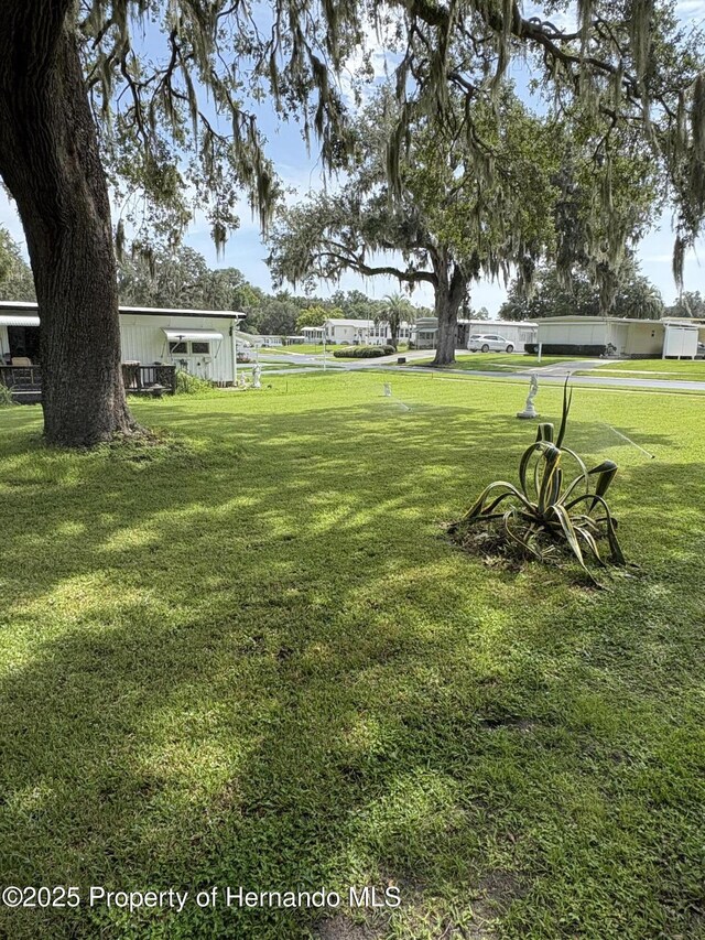 29129 Johnston Rd, Dade City, FL 33523 - photo 5