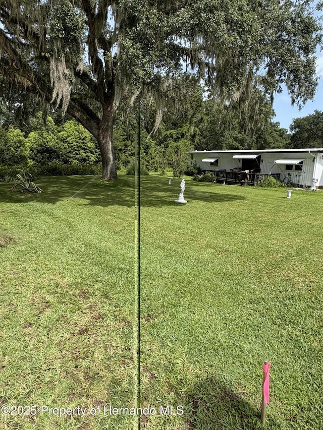 29129 Johnston Rd, Dade City, FL 33523 - photo 6
