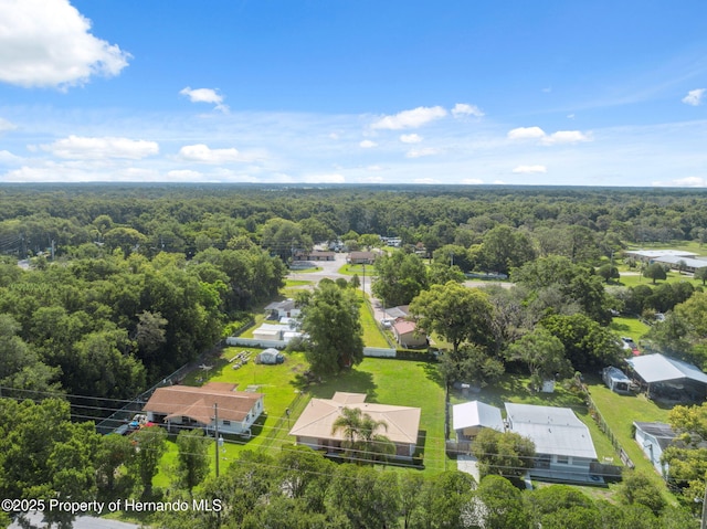 18922 Dvorak Dr, Spring Hill Pasco, FL 34610 - photo 34