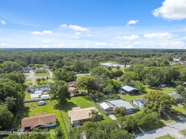 18922 Dvorak Dr, Spring Hill Pasco, FL 34610 - photo 35