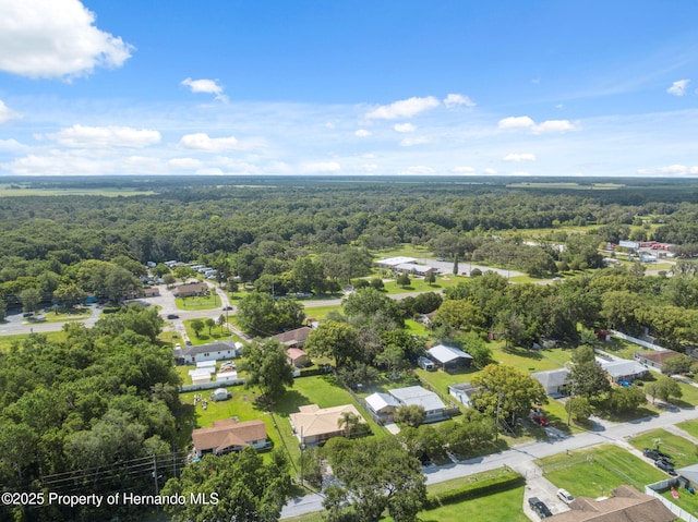 18922 Dvorak Dr, Spring Hill Pasco, FL 34610 - photo 36
