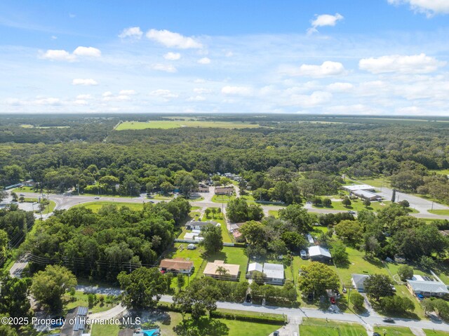 18922 Dvorak Dr, Spring Hill Pasco, FL 34610 - photo 37