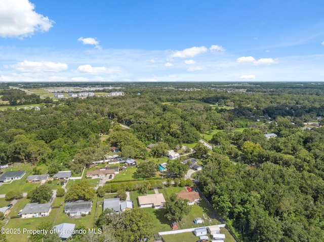 18922 Dvorak Dr, Spring Hill Pasco, FL 34610 - photo 39