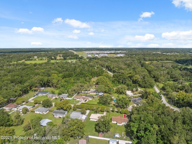 18922 Dvorak Dr, Spring Hill Pasco, FL 34610 - photo 40