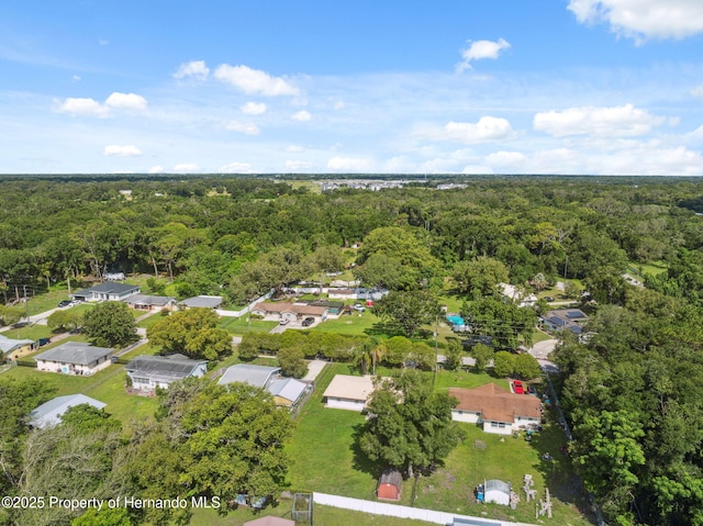 18922 Dvorak Dr, Spring Hill Pasco, FL 34610 - photo 41
